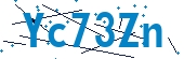 recaptcha