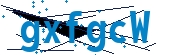 recaptcha