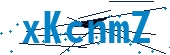 recaptcha